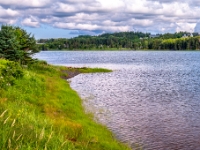 Basin Head Provincial Park